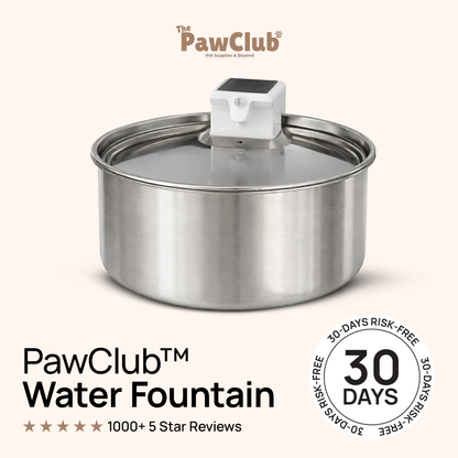 PawClub™ Water Fountain