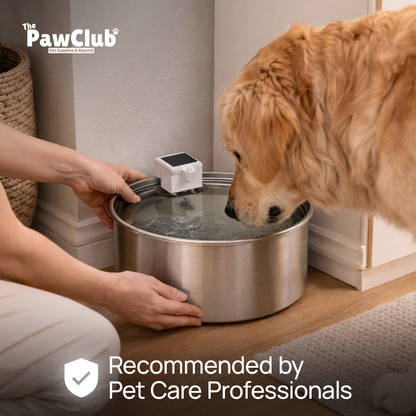 PawClub™ Water Fountain